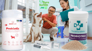 probiotika-kosttilskudd-hund-katt