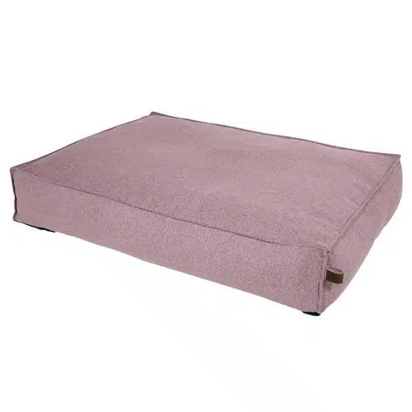 Fantail Stargaze Iconic Hundemadrass Rosa