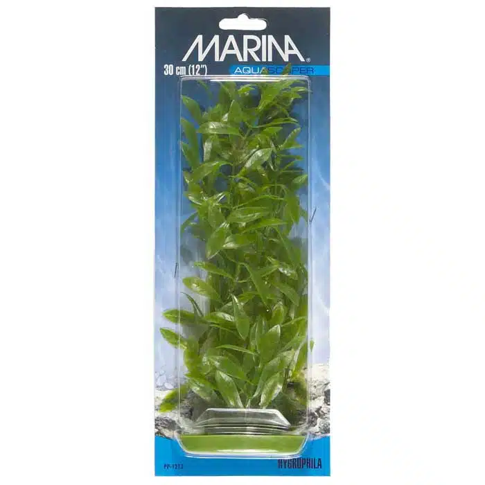 Plastplante Hygrophila