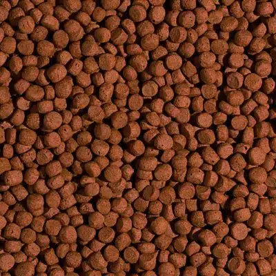 Tropical KOI Silkwarm & Astaxanthin Size M