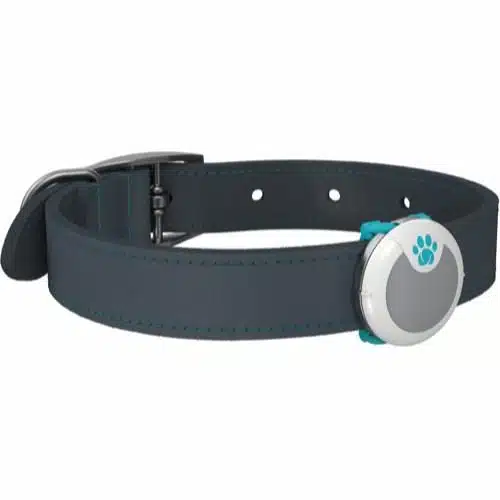Animo Activity and Behaviour Monitor - Sure Petcare Aktivitetsmåler