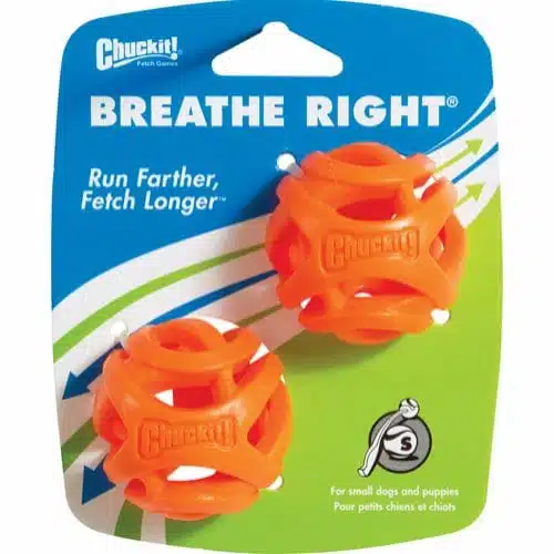 Chuckit! Breathe Right Ball Flyteleke