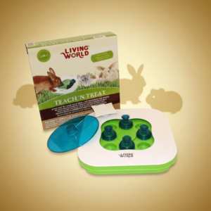 3 i 1 aktivitets plate