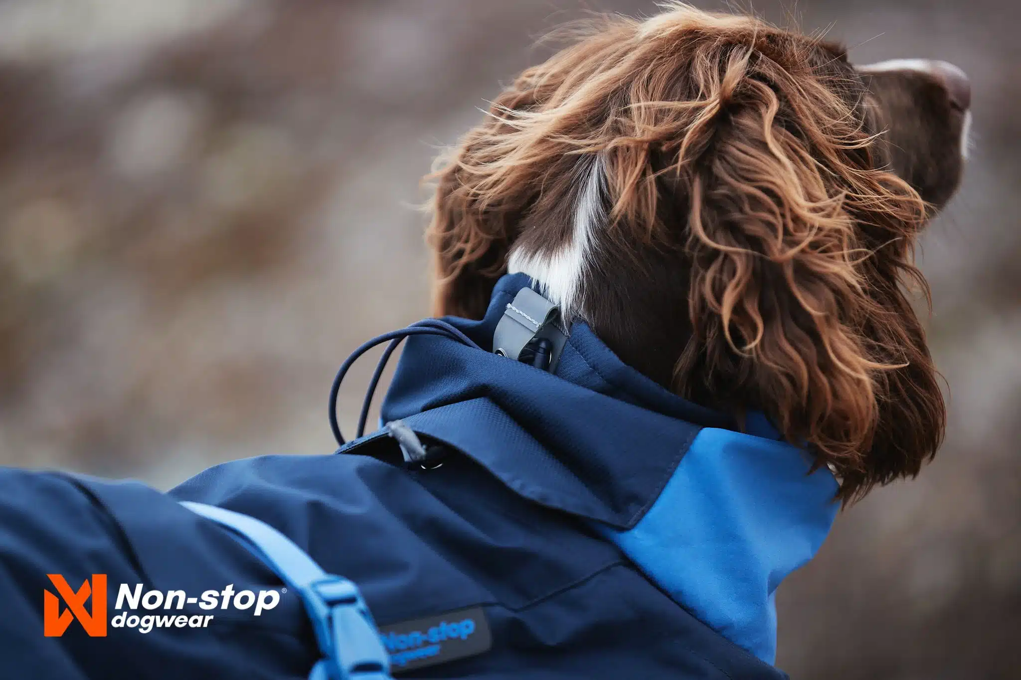 Non-Stop Dogwear Glacier Jacket Hundedekken Vinter