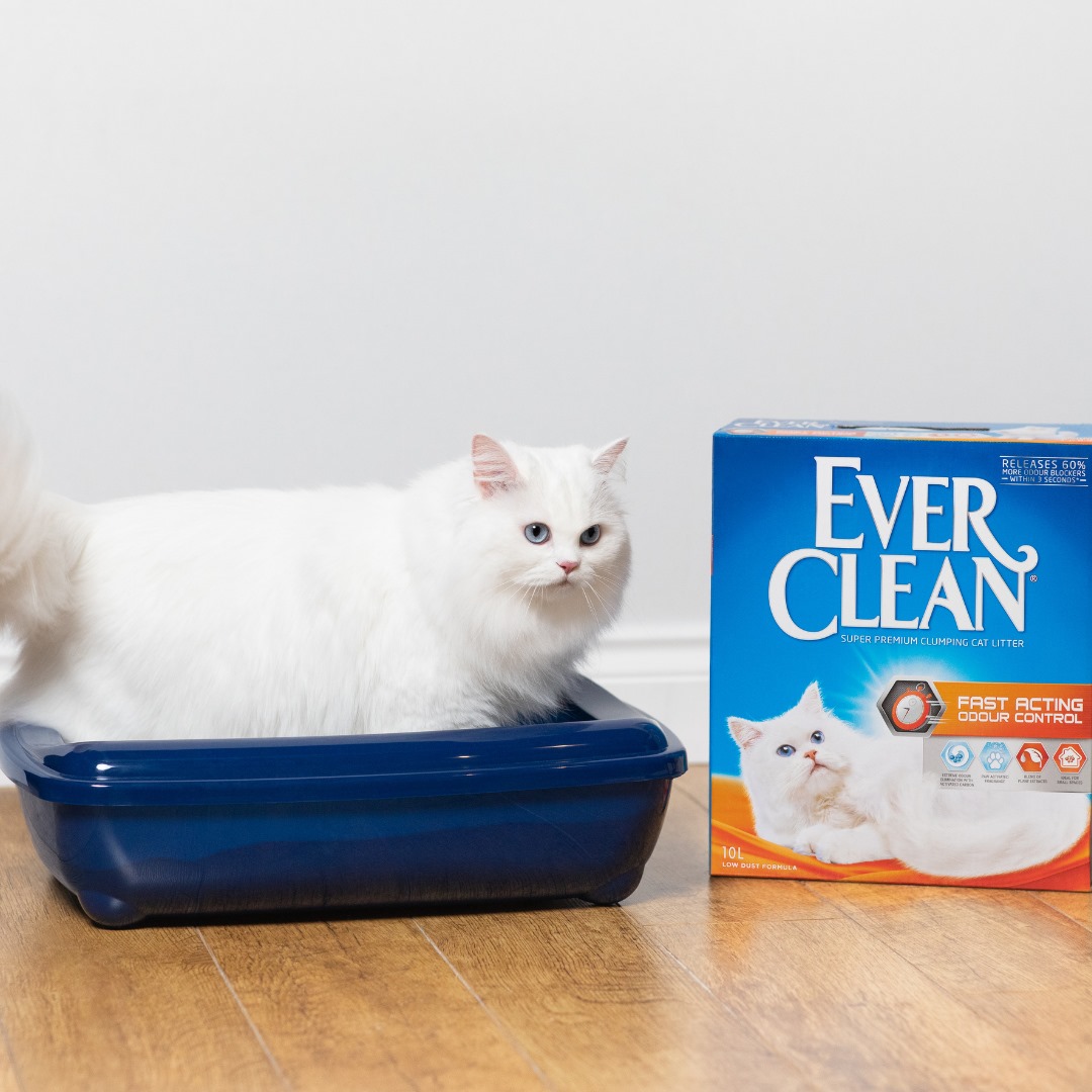 Ever Clean Fast Acting Kattesand 10 L