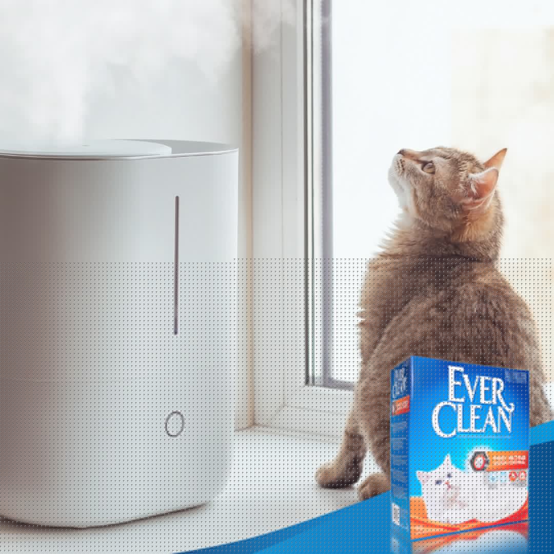 Ever Clean Fast Acting Kattesand 10 L