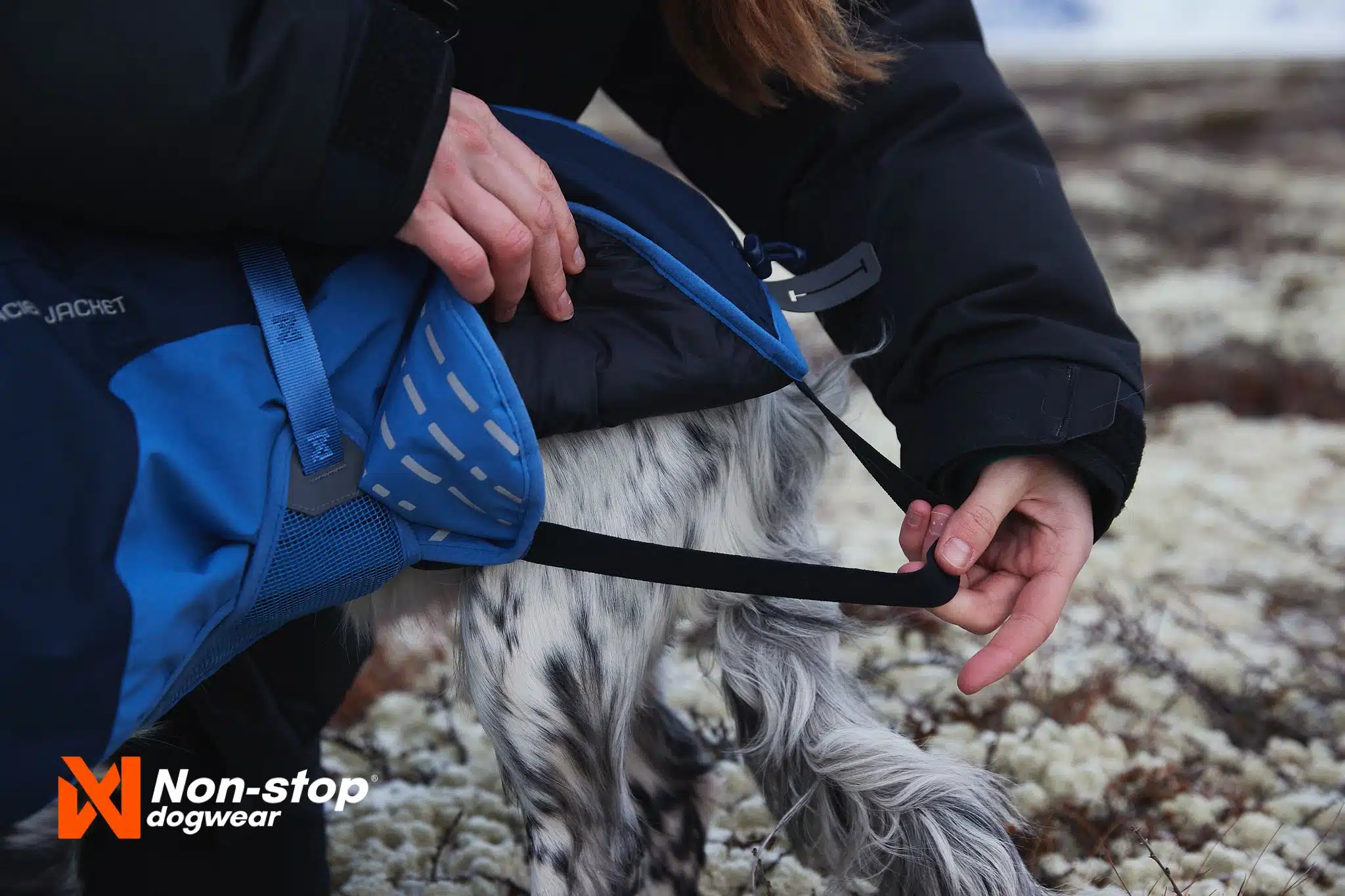 Non-Stop Dogwear Glacier Jacket Hundedekken Vinter