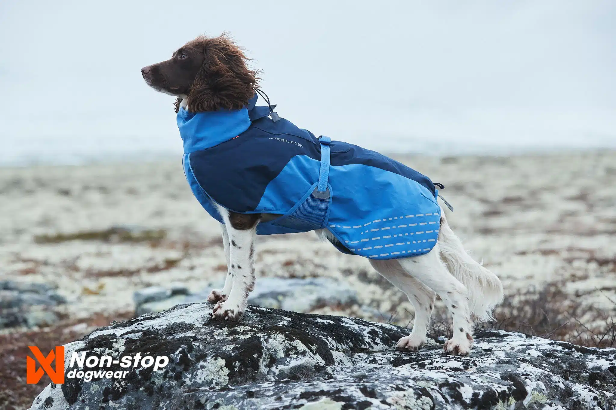 Non-Stop Dogwear Glacier Jacket Hundedekken Vinter