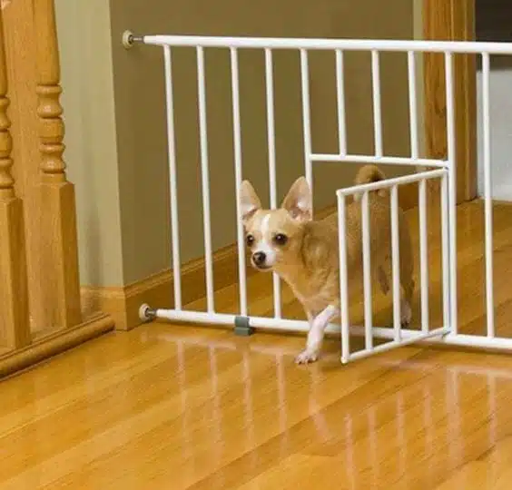 Carlson grind mini m. kattedør justerbar, 46x74-96.5CM