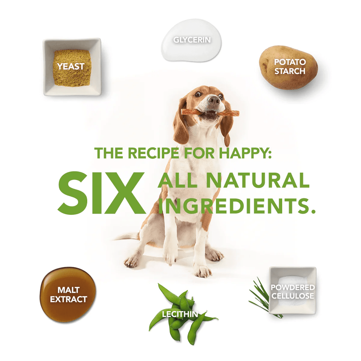 Whimzees Pinnsvin Large