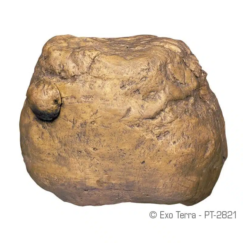 Exo Terra Feeding Rock 12.5x9x9.5cm