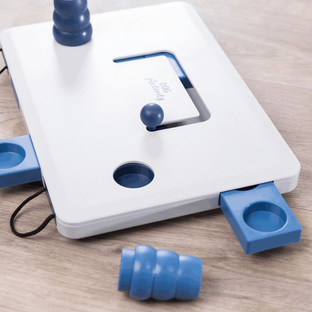 Dog Activity Move2Win