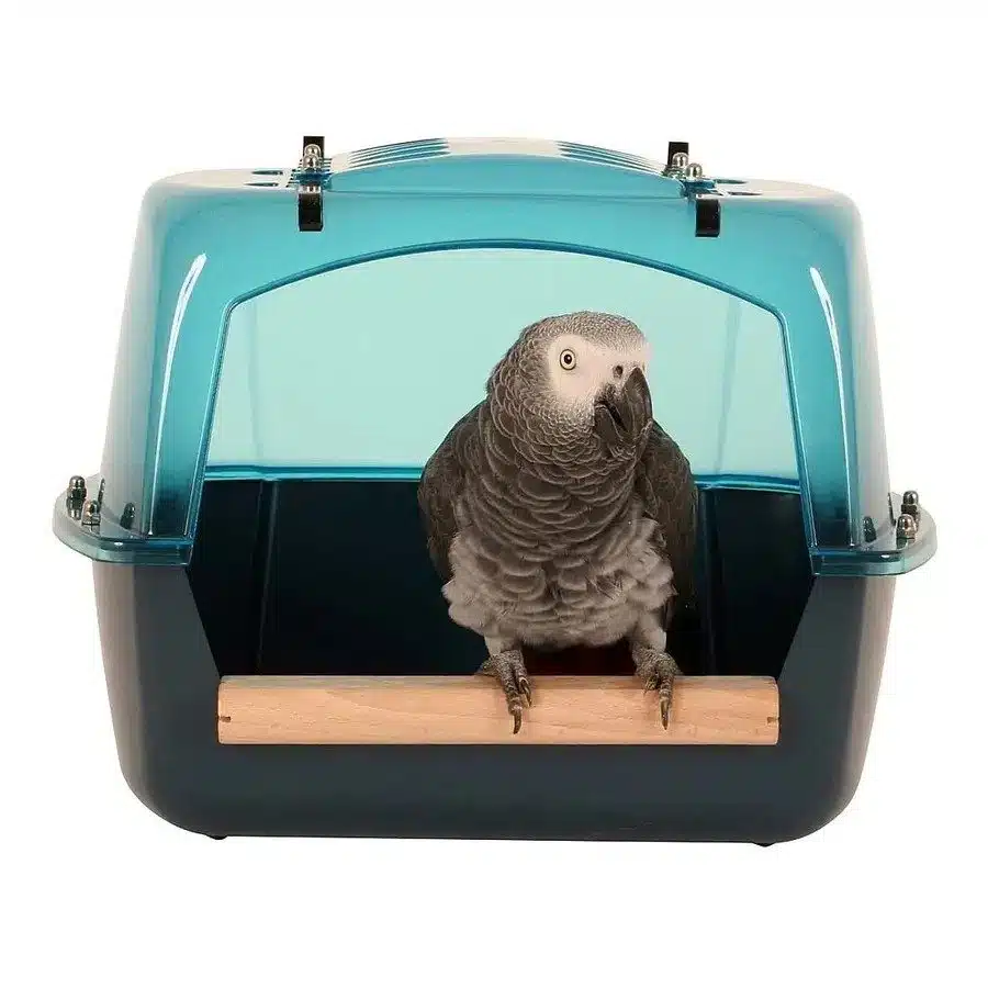 Splash Gigant Fuglebad