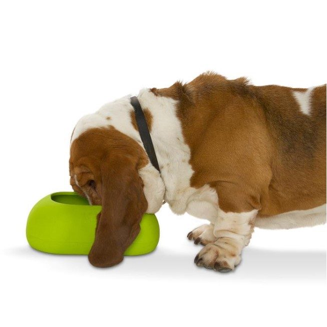 Buster IncrediBowl Matskål Vannskål Hund