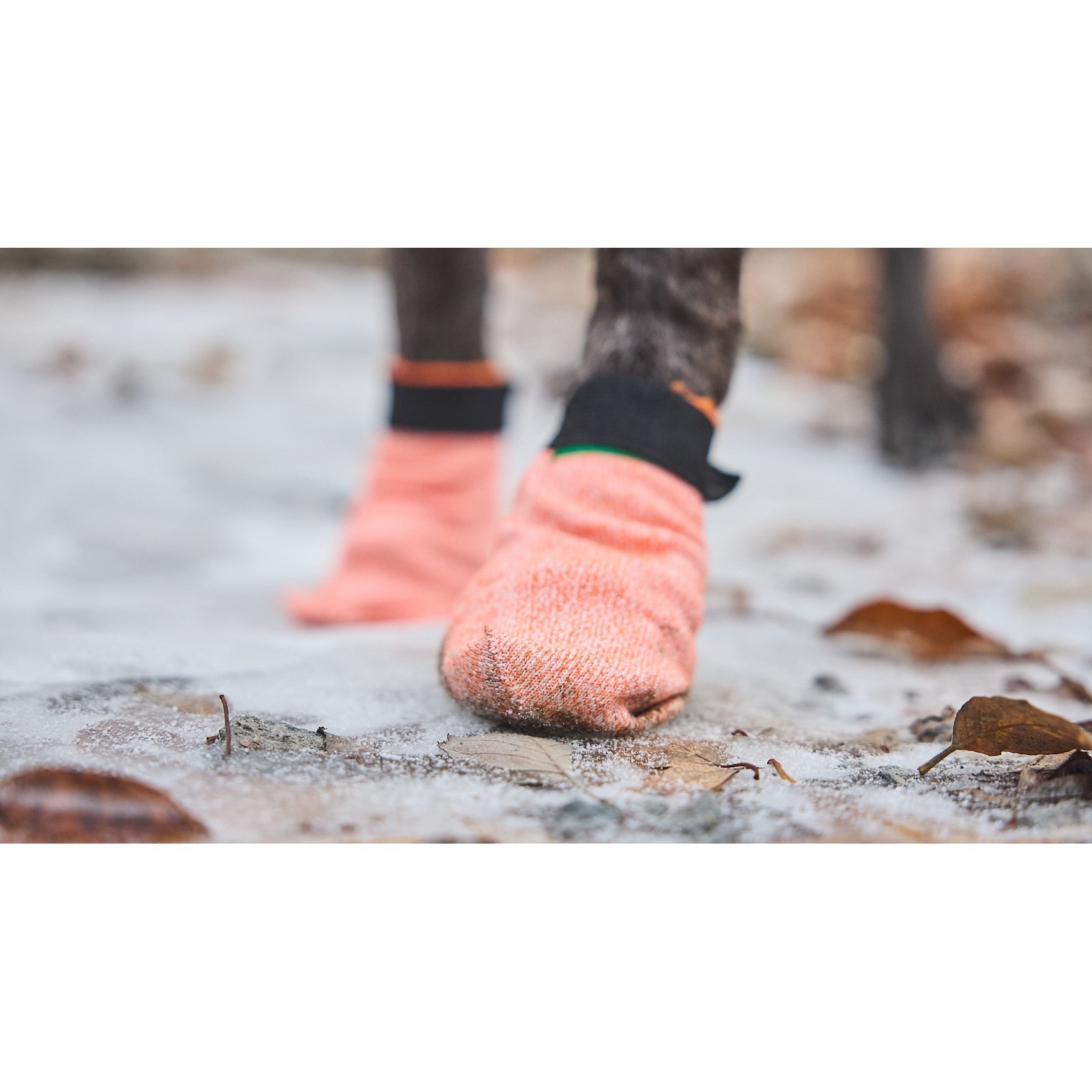 Non-Stop Dogwear Protector Light Socks Potesokker Hund 4pk