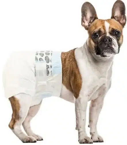 Tispetruse Løpetid Simple Solution (engangs)