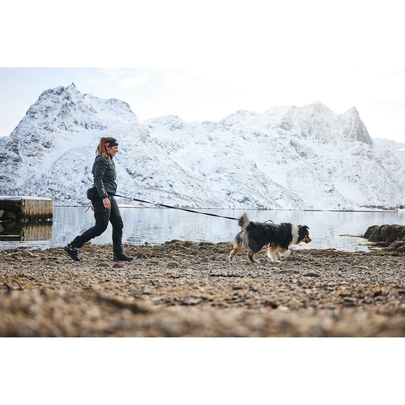 Non-Stop Dogwear Trail Light Belt Turbelte Trekk Hund