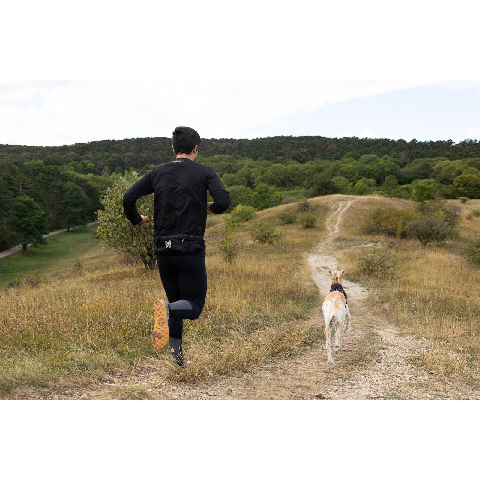 Non-Stop Dogwear Trail Light Belt Turbelte Trekk Hund