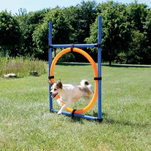 Trixie Fun Agility Ring Hopp Hinder