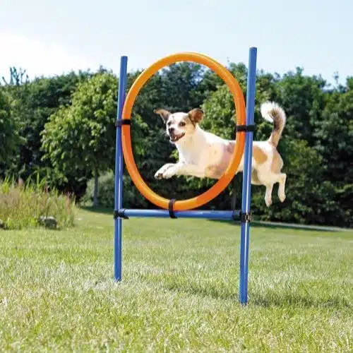 Trixie Fun Agility Ring Hopp Hinder