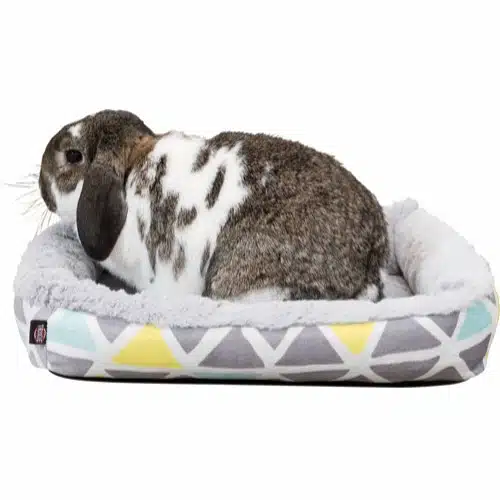 Sunny seng til Kanin